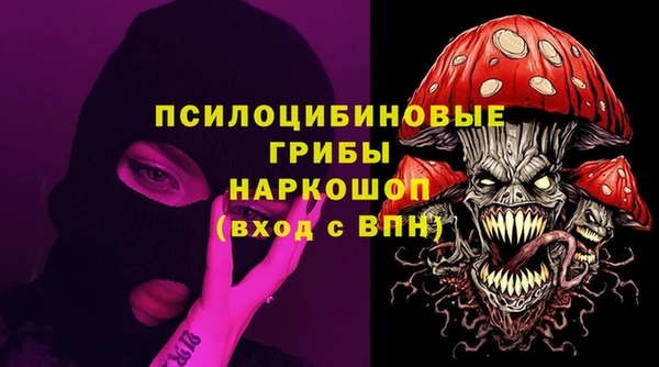 тгк Зеленодольск