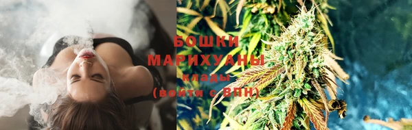 тгк Зеленодольск