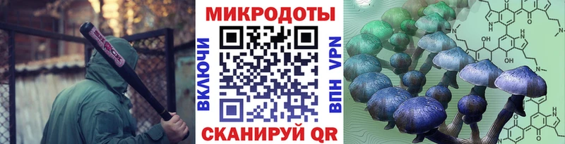 Купить где  Северобайкальск  Псилоцибиновые грибы прущие грибы 